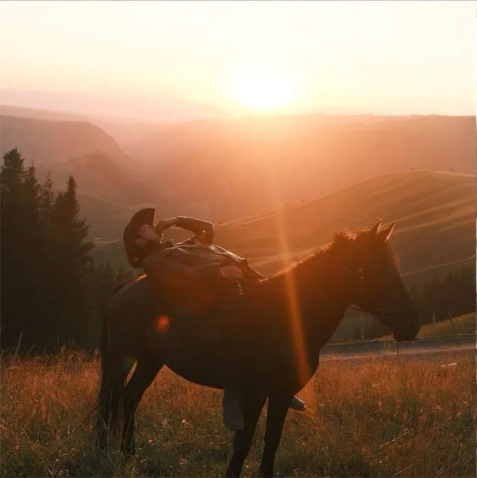 A rider and horse in warm evening light
